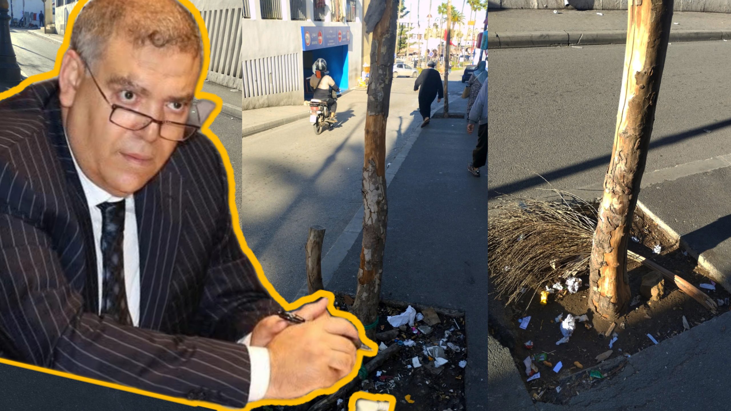 ذبول أشجار في أرصفة ومناطق خضراء بطنجة.. يسائل ميزانية 7000 مليون سنتيم لمقاولة محظوظة