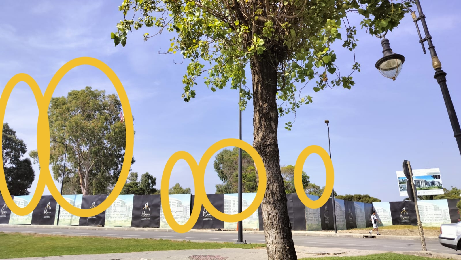 الزيارة الملكية الأخيرة أظهرت الحاجة الماسة للأشجار والفضاءات الطبيعية الخضراء بطنجة 