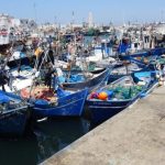 ميناء طنجة يضاعف مفرغات الصيد تقريبا خلال سبعة أشهر ليصل إلى 5.239 طن