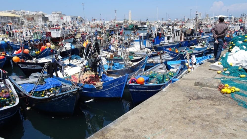 ميناء طنجة يضاعف مفرغات الصيد تقريبا خلال سبعة أشهر ليصل إلى 5.239 طن