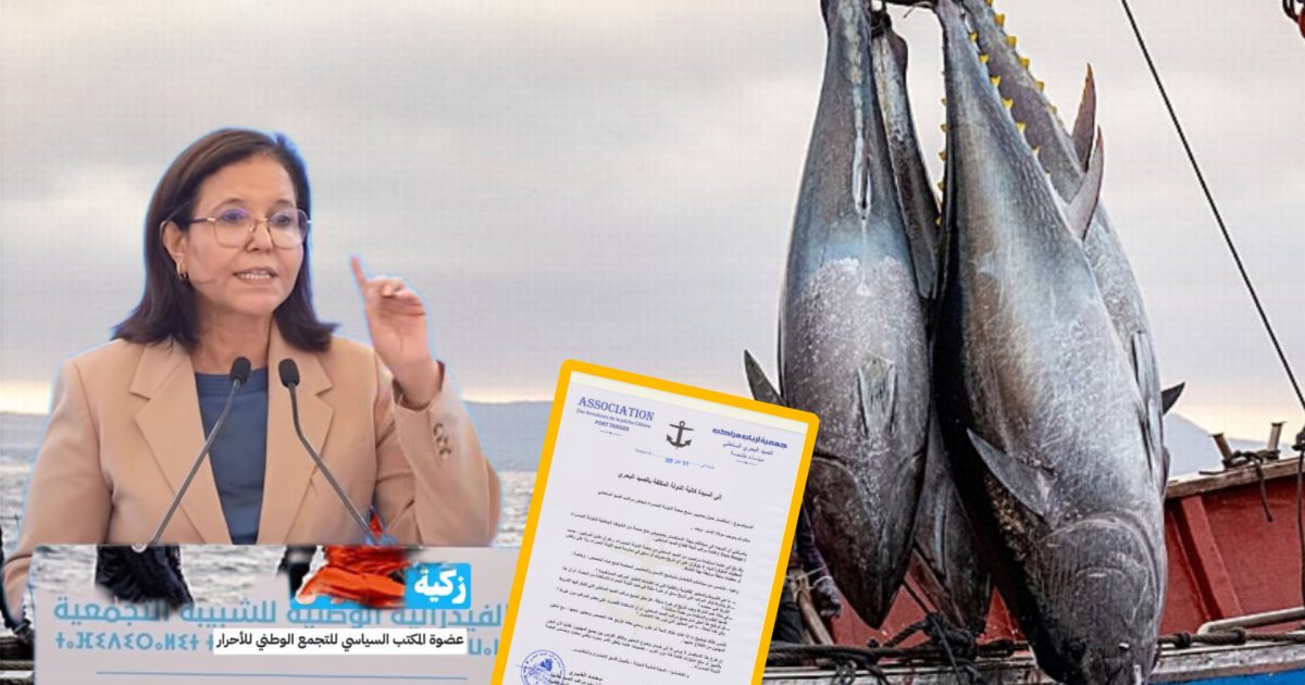 رخص صيد التونة بطنجة تثير الشبهات تزامناً مع الانتخابات