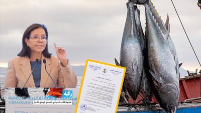 رخص صيد التونة بطنجة تثير الشبهات تزامناً مع الانتخابات