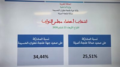 انتخابات 2026.. عمالة طنجة أصيلة تسجل مشاركة بـ25,51%