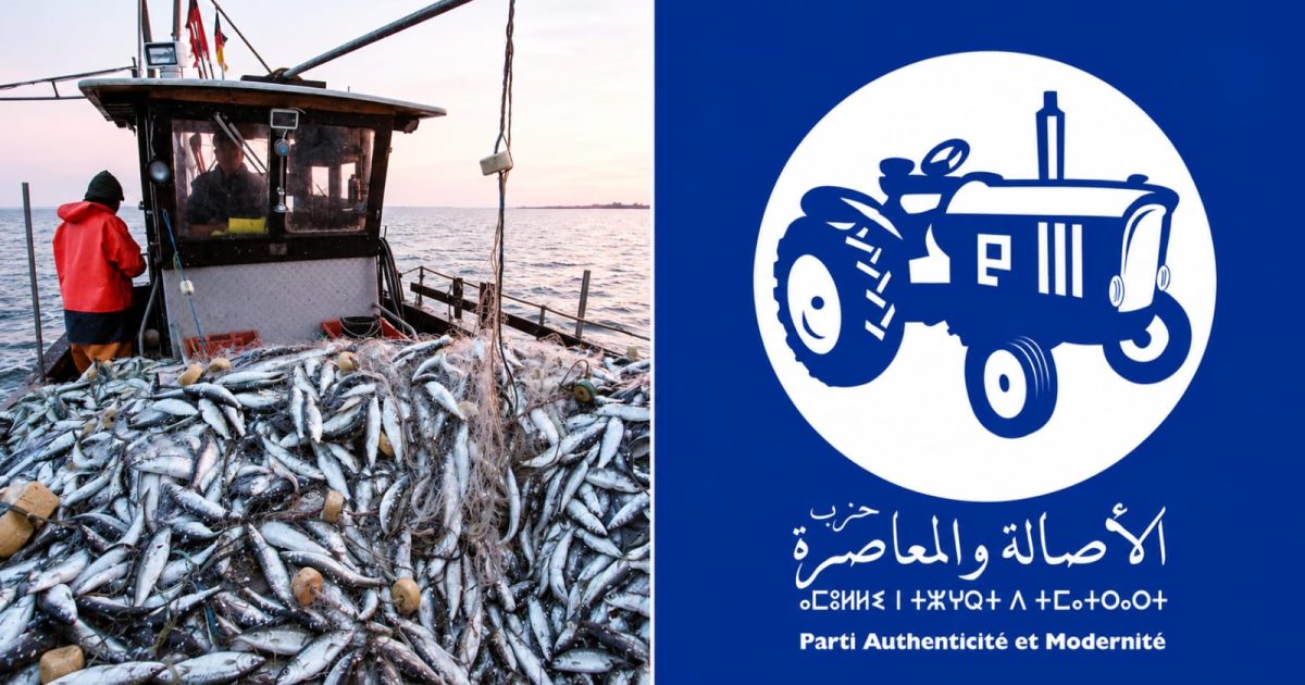 مستثمر في السمك بطنجة وجه دعما مهما لحزب الأصالة والمعاصرة