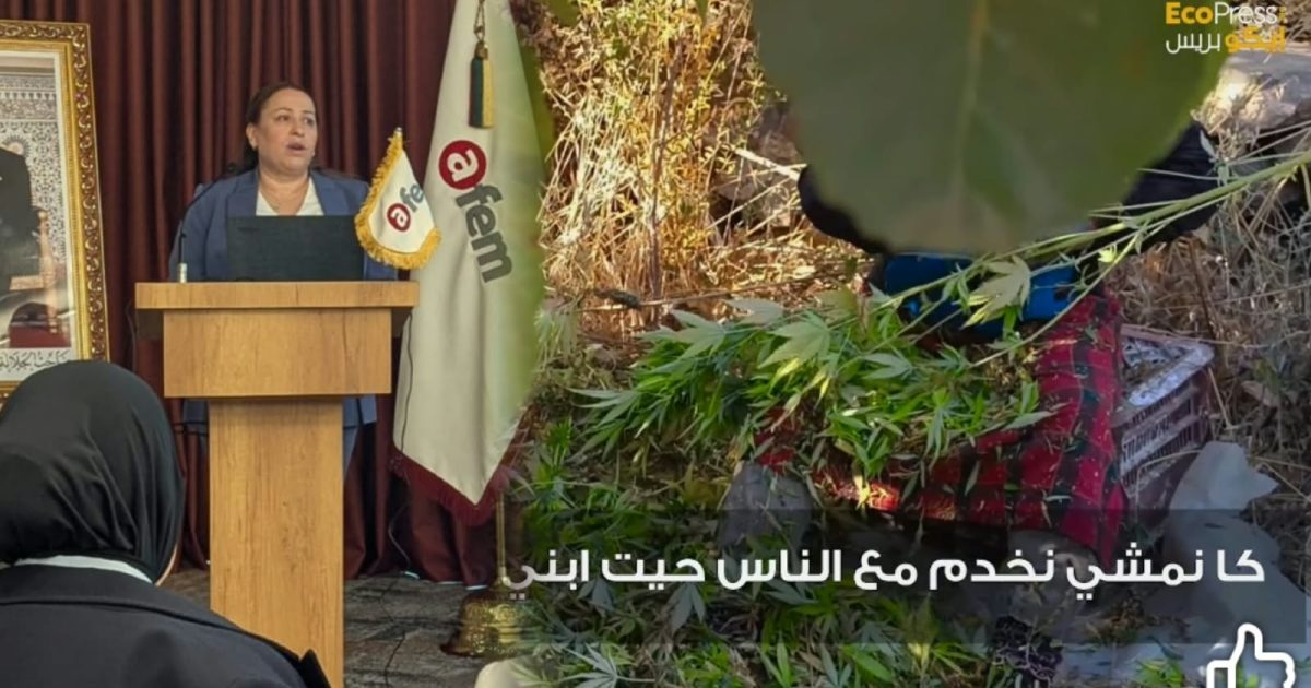 نساء القنب الهندي بالشمال أمام تحول اقتصادي.. الشعيبية بالبزيوي العلوي تكشف رؤيتها
