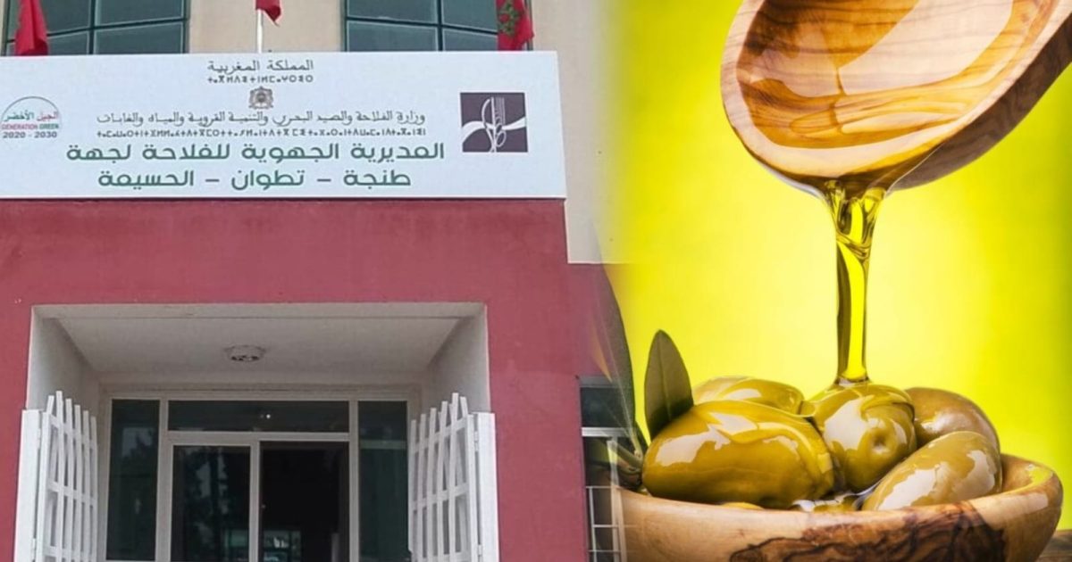 المديرية الجهوية للفلاحة بطنجة تطلق مسابقة لاختيار أفضل زيت زيتون بكر ممتاز