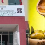 المديرية الجهوية للفلاحة بطنجة تطلق مسابقة لاختيار أفضل زيت زيتون بكر ممتاز