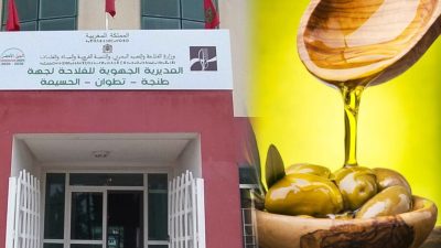 المديرية الجهوية للفلاحة بطنجة تطلق مسابقة لاختيار أفضل زيت زيتون بكر ممتاز